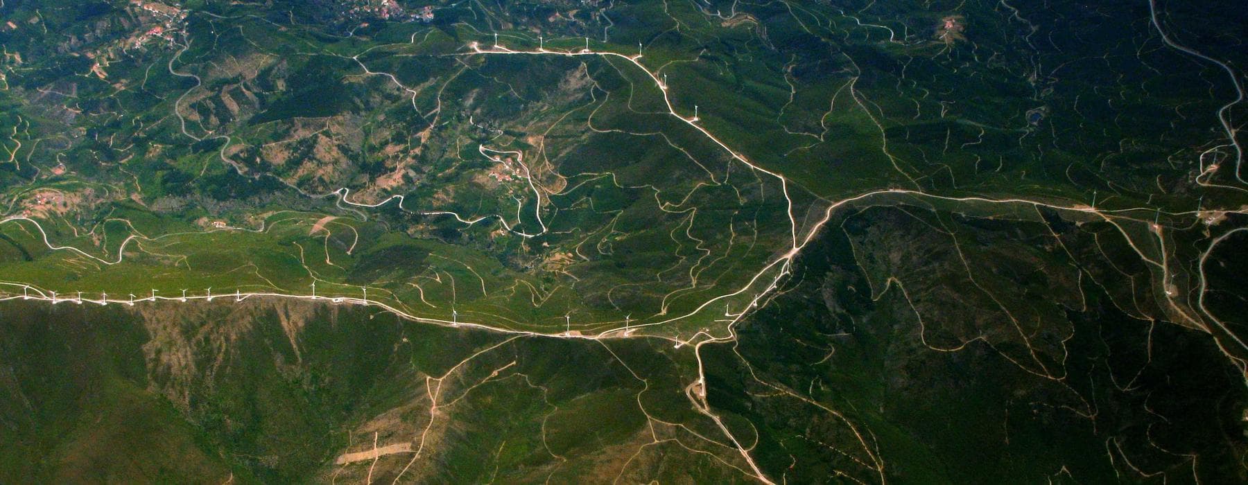 Vegetación y luz natural en primer plano, estética sobria y contemplativa