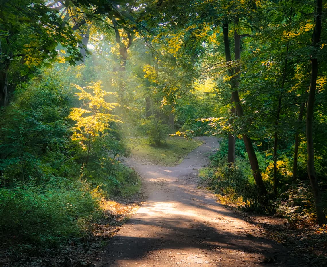 Camino natural que se recorre paso a paso, refuerza la idea de proceso